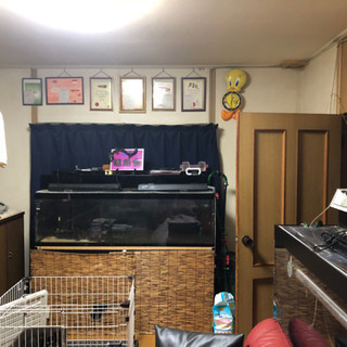 65%OFF【送料無料】 幅1500奥行き600高さ450水槽上部濾過槽台付き その他