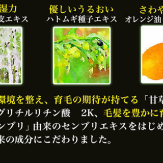 新品未開封】リマーユ ヘアシャンプー トリートメント 5セット