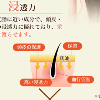 新品未開封】リマーユ ヘアシャンプー トリートメント 5セット