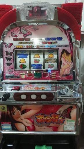 南国育ち(ビキニパネル) ４号機