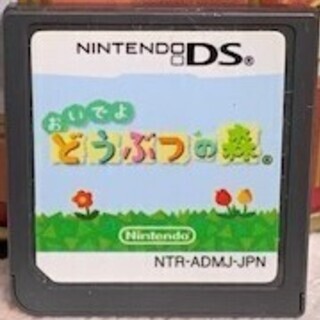 NINTENDO DS おいでよ　どうぶつの森