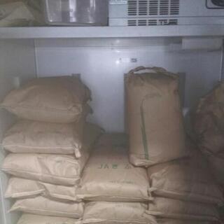 残りわずか★コシヒカリ玄米30kg　令和4年度産　岐阜県内生産のお米