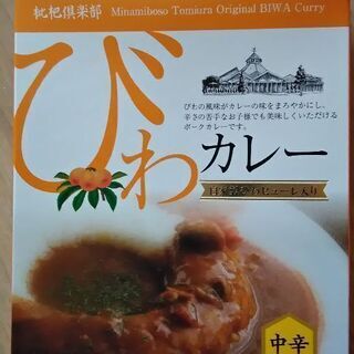 びわカレー　レトルトカレー