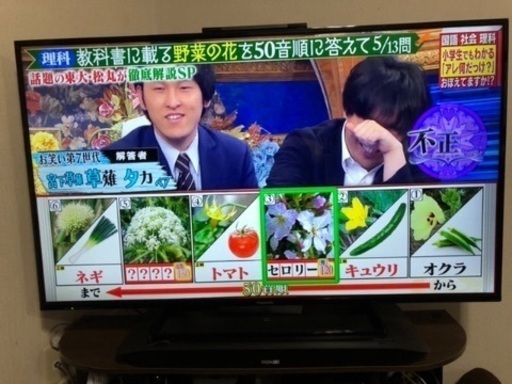 バナソニック 50インチ 液晶テレビ 5万円