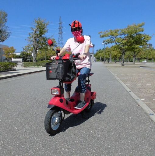 ホンダ ズーク てんとう虫仕様 キック一発　自賠責あり ホンダ ズーク てんとう虫仕様 キック一発 自賠責あり