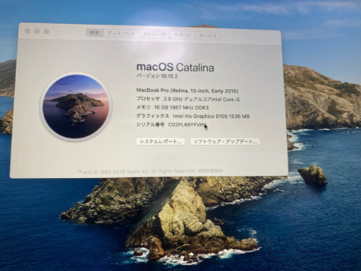 Macbook Pro 2015 13インチメモリ16GB SSD256GB | pcmlawoffices.com