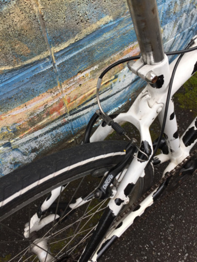 クロスバイク カスタマイズ！パンダ⁈ダルメシアン？牛？