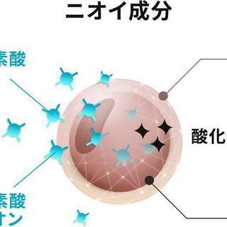 その他 消毒液 新品 クリーンスペースα（原料：パナセア）詰替用20L1 