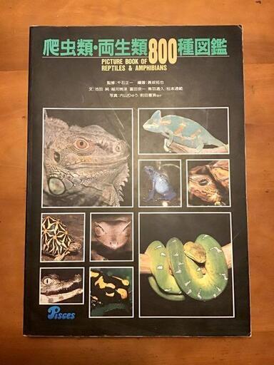 爬虫類　両生類800種図鑑
