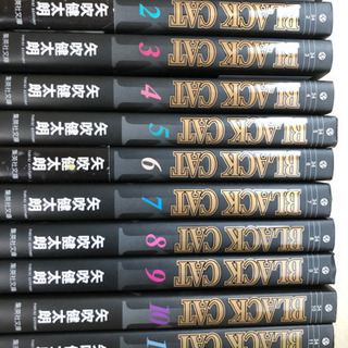 値下げしました　BLACK CAT 1巻〜12 巻