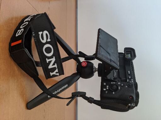 Sony α6600