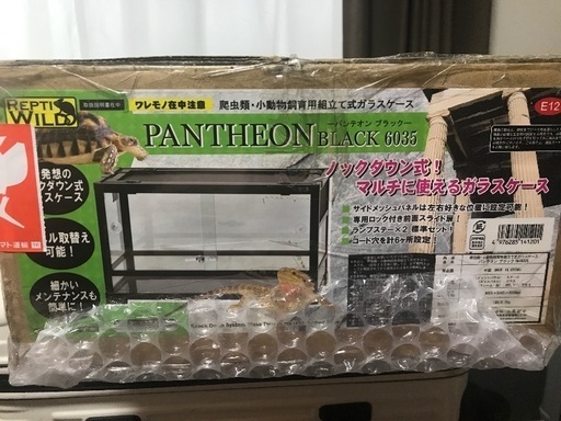パンテノンブラック6035