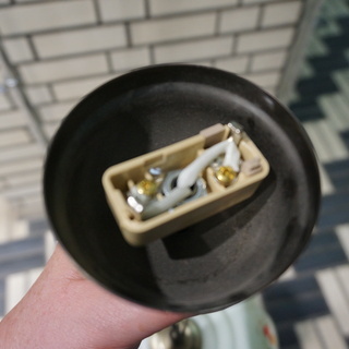 フランスアンティーク手描きセルロイドシェード