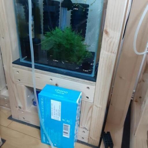 水草南米ウィローモス 濾過材に活着 Kuroshima 首里のその他の中古あげます 譲ります ジモティーで不用品の処分