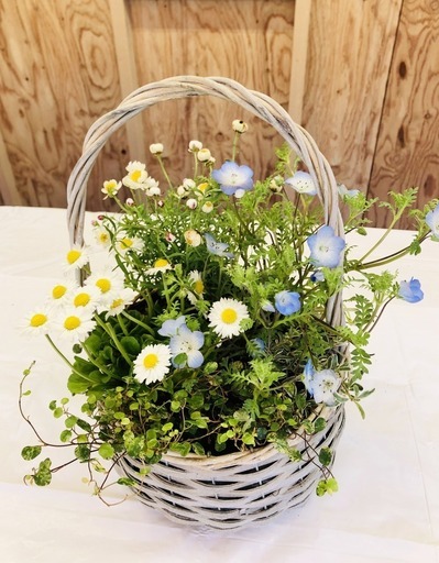 移動販売 寄せ植え 多肉植物他by Stylish Gardens 5 24開始 毎日曜 祝日 暮らしとみどり研究所 中央林間のフリーマーケットのイベント参加者募集 無料掲載の掲示板 ジモティー