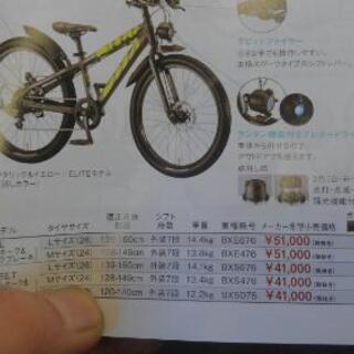 自転車屋の中古　ジュニアマウンテン　ブリヂストン　BWX  24インチ　状態良