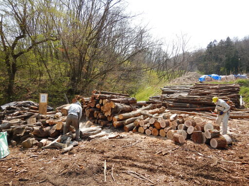 数量限定】自分で薪割りしたい人向け！薪用原木！ - その他 