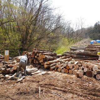 数量限定】自分で薪割りしたい人向け！薪用原木！