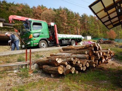 数量限定】自分で薪割りしたい人向け！薪用原木！