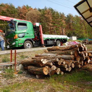 【数量限定】自分で薪割りしたい人向け！薪用原木！