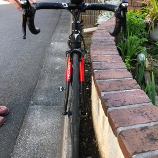 値段交渉”可”　Pinarello razha 2015