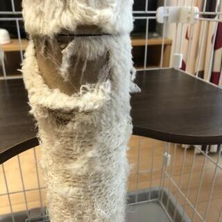 アイリスオーヤマ  キャットランドゲージ   ワイド PCLC-903 ホワイト  