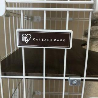 アイリスオーヤマ  キャットランドゲージ   ワイド PCLC-903 ホワイト  