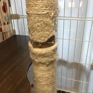 アイリスオーヤマ  キャットランドゲージ   ワイド PCLC-903 ホワイト  