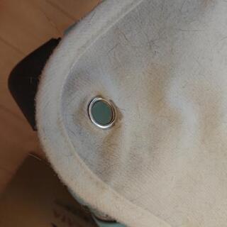 アイリスオーヤマ  キャットランドゲージ   ワイド PCLC-903 ホワイト  