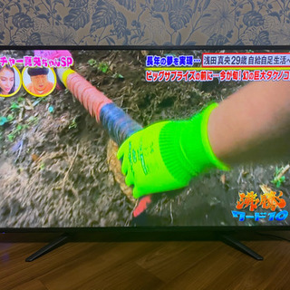 テレビ 50型テレビ LE-5040TSⅡ 美品