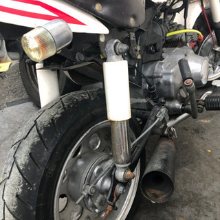 HONDA  モンキー　z50  不動　福岡市南区 HONDA モンキー z50 不動 福岡市南区