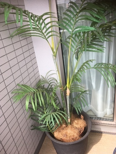 人工観葉植物　大