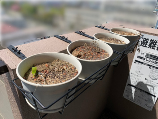 取引中 ベランダ用プランターセットブロック塀用ラック付き家庭菜園 Naka 札幌のその他の中古あげます 譲ります ジモティーで不用品の処分