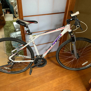 GT  tranceo 1.0(パーツ変更アリ、多少劣化アリ) GT tranceo 1.0(パーツ変更アリ、多少劣化アリ)