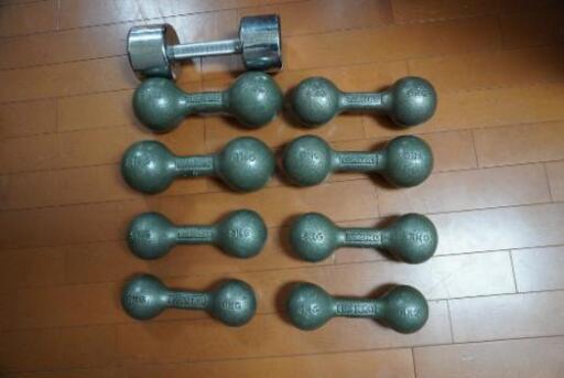 お取り引きが決まりました! IVANKOダンベルセット お得 umbandung.ac.id
