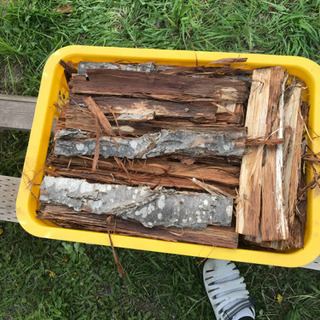 焚き火用　大量の焚きつけ　木の皮