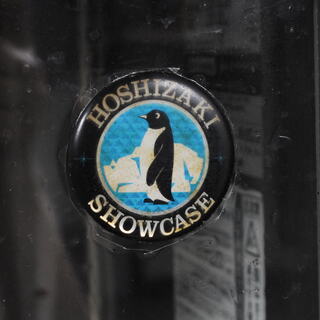 2416  ホシザキ電機 テーブル形冷蔵ショーケース RTS-120STB1 内容積 219L 愛知県岡崎市直接引取可　エビス