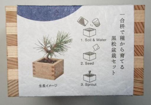 ソダテマス 黒松盆栽 枡で種から育てる盆栽セット 送料込み ラ フランス 三河安城のその他の中古あげます 譲ります ジモティーで不用品の処分