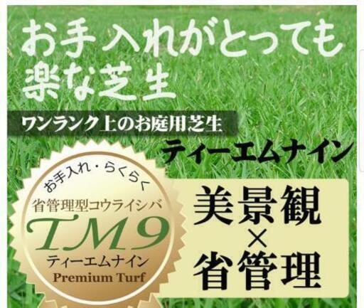 芝生 TM9 鹿児島産 8平米(約4.3畳) 4箱