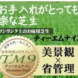 芝生 TM9 鹿児島産 8平米(約4.3畳) 4箱