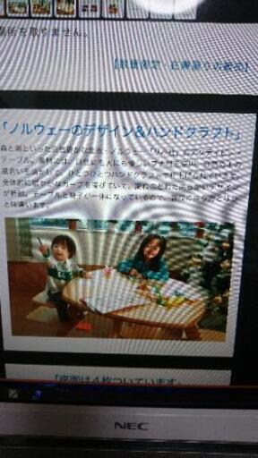 リボ社 ノルウェー生まれの素敵なテーブル！ - その他 