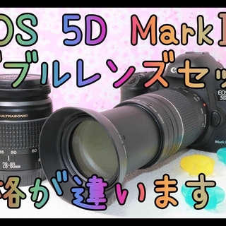 お値引きできます　Canon キヤノン EOS 5D Mark ...