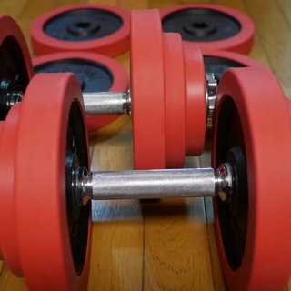 ダンベル 30kg×2」の人気商品一覧 | 安い商品を通販サイトから