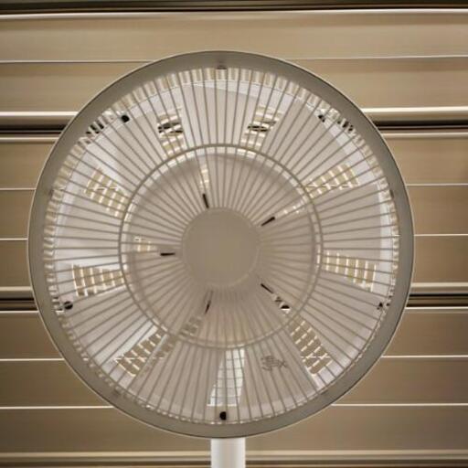 ☆美品☆ BALMUDA GreenFan バルミューダ グリーンファン 羽根径30cm 扇風機 EGF-1200-WG ホワイト 動作品