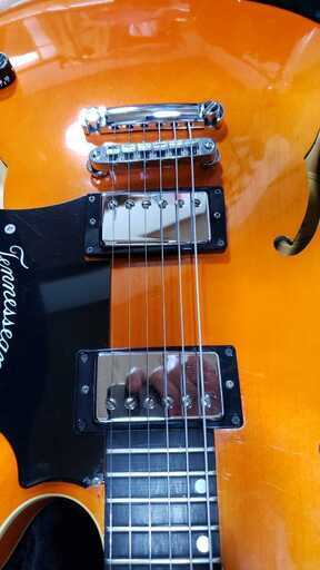 ギブソン Gibson USA チェット・アトキンス・テネシアン