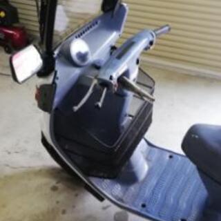 決まりました！ キャノピー 不動 レストアベース