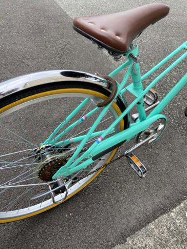 サイマ購入自転車 mixte city ミントグリーン (平奥真一) 逆瀬川の