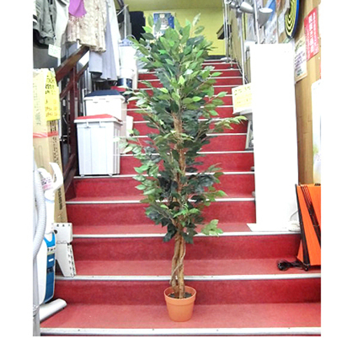 札幌 フェイクグリーン 人工観葉植物 高さ162cm ボタニカルインテリア ポット付き 手間いらず お手入れかんたん インテリアグリーン リ モノハウス 本郷通 札幌のインテリア雑貨 小物 置物 オブジェ の中古あげます 譲ります ジモティーで不用品の処分 札幌 フェイクグリーン 人工観葉植物 高さ162cm ボタニカルインテリア ポット付き 手間いらず お手入れかんたん インテリアグリーン リ モノハウス 本郷通 札幌のインテリア雑貨 小物 置物 オブジェ の中古あげます 譲ります ジモティーで不用品の処分