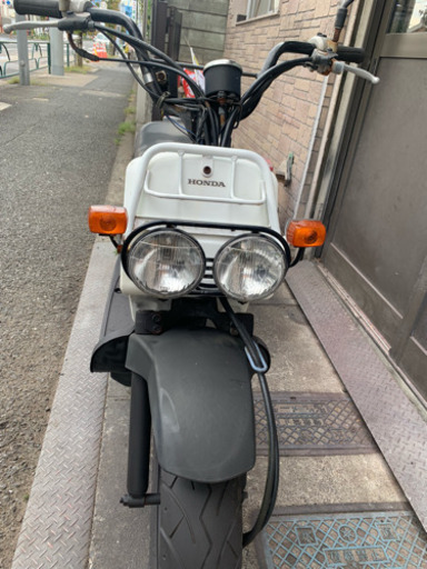 ズーマー ホワイト 絶好調 ！
