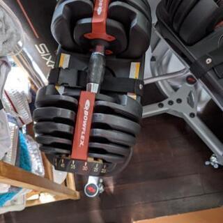 Bowflex ボウフレックス 片方24キロ ペア